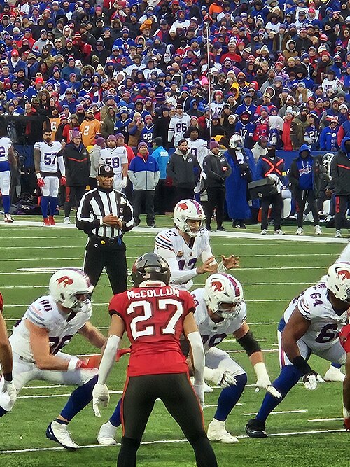 Josh Allen taking a snap in a Buffalo Bills uniform in 2025. Player photograph, not card artwork.